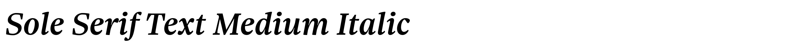 Sole Serif Text Medium Italic